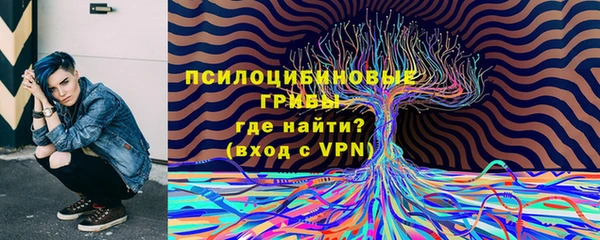 дмт Инсар