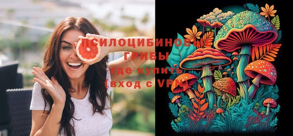 спиды Гусь-Хрустальный