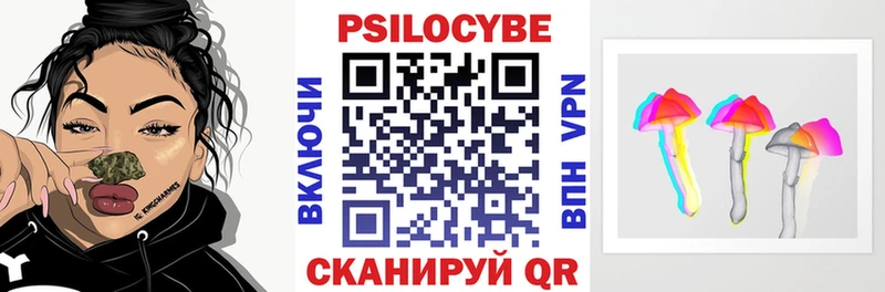 Псилоцибиновые грибы Psilocybe  Калтан 