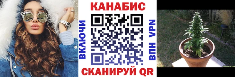 где можно купить Калтан МЕГА онион Каннабис индика